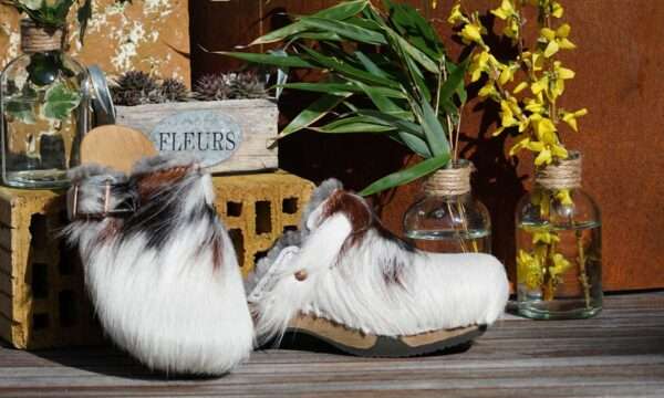 MuhSchuh Fellclogs Groesse 36