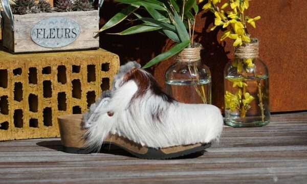 MuhSchuh Fellclogs Groesse 36
