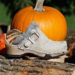 Bild Nr. 3, MuhSchuh Fellclogs
