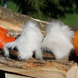 Bild Nr. 63, MuhSchuh Fellclogs