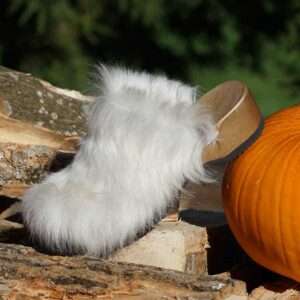 Bild Nr. 50, MuhSchuh Fellclogs